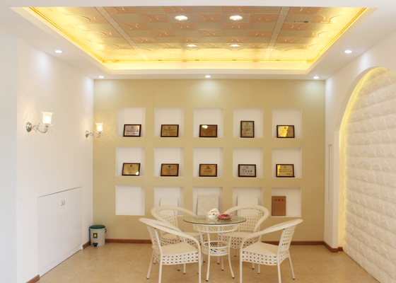 Плитки потолка селитебного металла художнические, панель потолка декоративная для дома